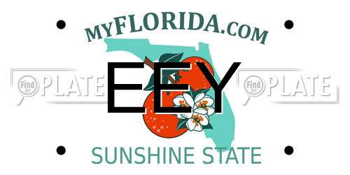 EEY Florida License Plate