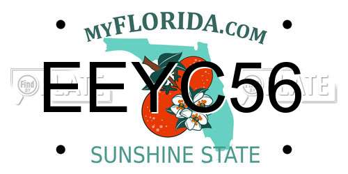 EEYC56 Florida License Plate