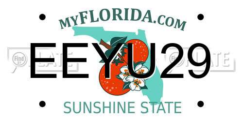 EEYU29 Florida License Plate