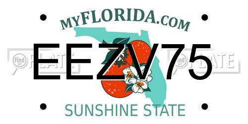 EEZV75 Florida License Plate