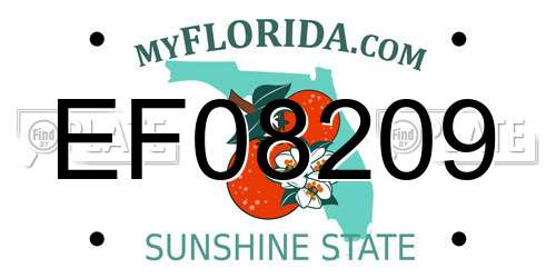 EF08209 Florida License Plate