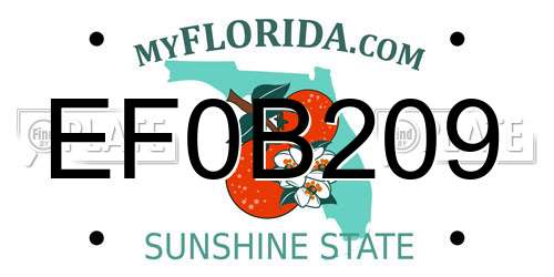 EF0B209 Florida License Plate