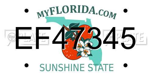 EF47345 Florida License Plate