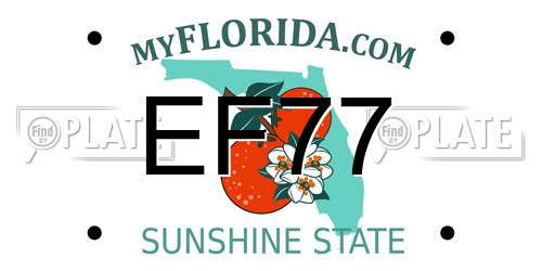 EF77 Florida License Plate