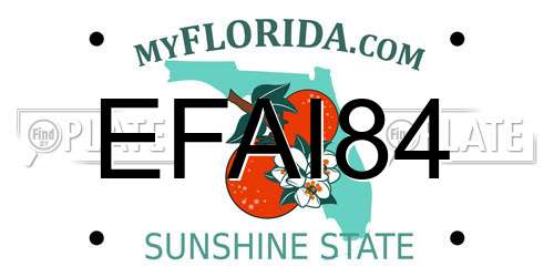 EFAI84 Florida License Plate
