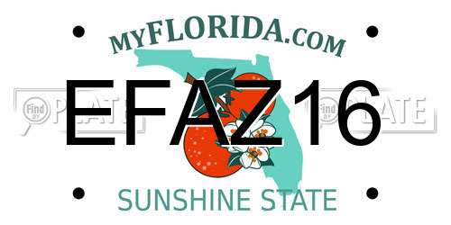 EFAZ16 Florida License Plate