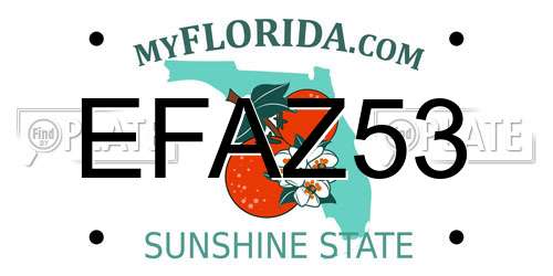 EFAZ53 Florida License Plate