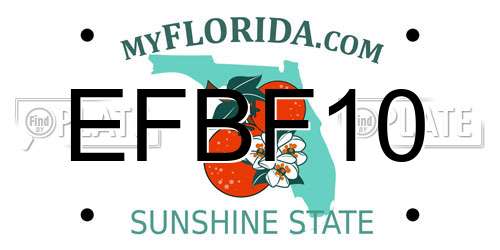EFBF10 Florida License Plate