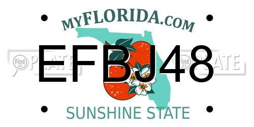 EFBJ48 Florida License Plate