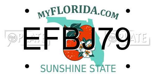 EFBJ79 Florida License Plate