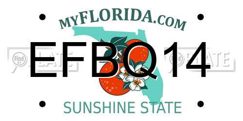 EFBQ14 Florida License Plate