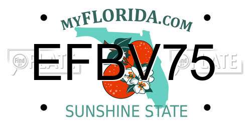 EFBV75 Florida License Plate
