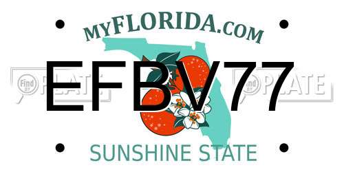 EFBV77 Florida License Plate