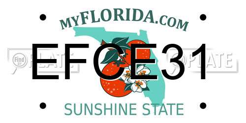 EFCE31 Florida License Plate
