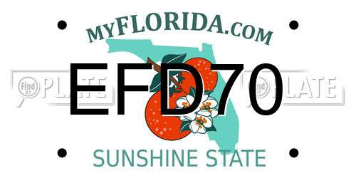 EFD70 Florida License Plate