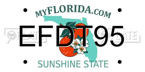 EFDT95 Florida License Plate