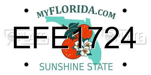EFE1724 Florida License Plate