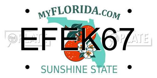 EFEK67 Florida License Plate