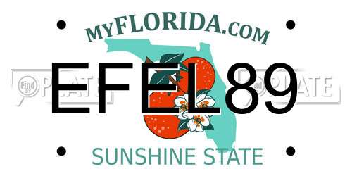 EFEL89 Florida License Plate