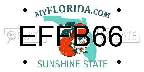 EFFB66 Florida License Plate