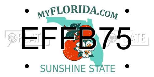 EFFB75 Florida License Plate