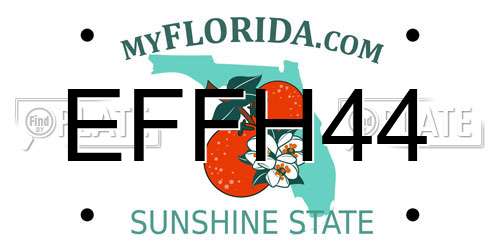EFFH44 Florida License Plate