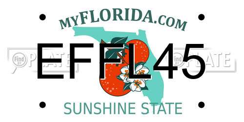 EFFL45 Florida License Plate