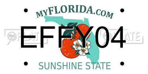 EFFY04 Florida License Plate