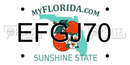 EFGJ70 Florida License Plate
