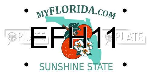 EFH11 Florida License Plate