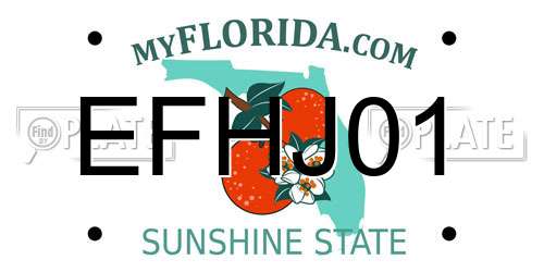 EFHJ01 Florida License Plate