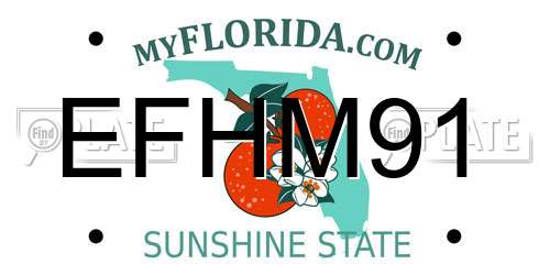 EFHM91 Florida License Plate