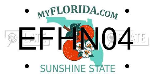 EFHN04 Florida License Plate