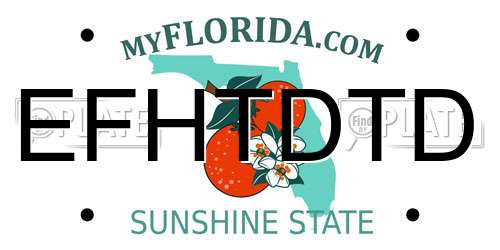 EFHTDTD Florida License Plate