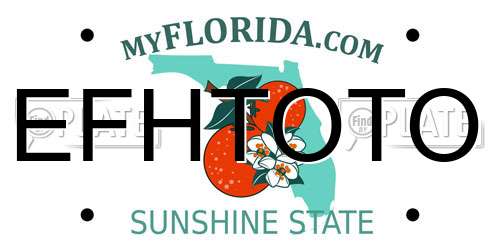 EFHTOTO Florida License Plate