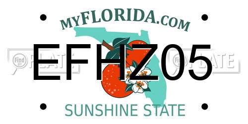 EFHZ05 Florida License Plate
