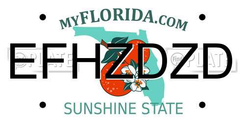 EFHZDZD Florida License Plate