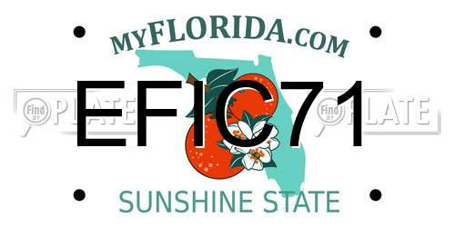 EFIC71 Florida License Plate