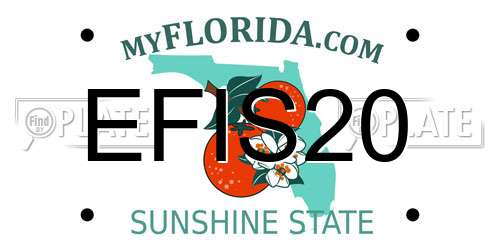 EFIS20 Florida License Plate