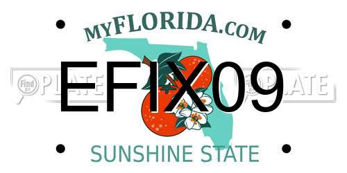 EFIX09 Florida License Plate