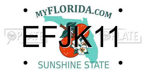 EFJK11 Florida License Plate