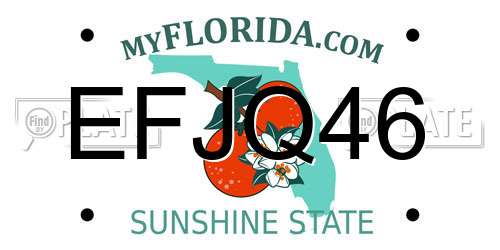 EFJQ46 Florida License Plate