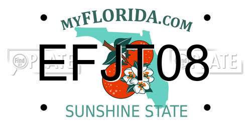 EFJT08 Florida License Plate