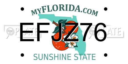 EFJZ76 Florida License Plate