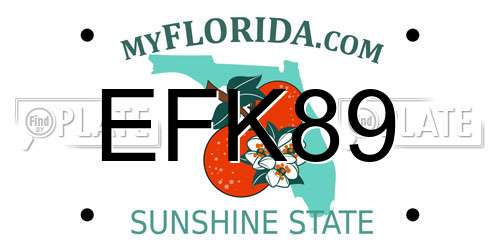 EFK89 Florida License Plate