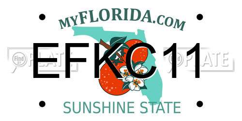 EFKC11 Florida License Plate