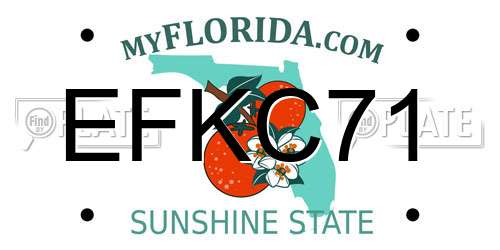 EFKC71 Florida License Plate