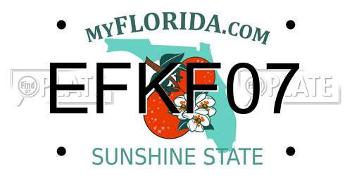 EFKF07 Florida License Plate