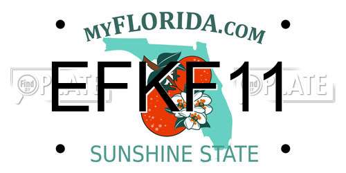 EFKF11 Florida License Plate