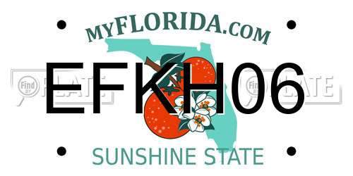 EFKH06 Florida License Plate